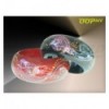 Swirl Bangle (10 colours)