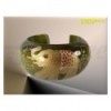 Indian Elephant Bangle (12 colours)