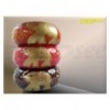 Indian Elephant Bangle (12 colours)