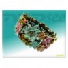 Flowers in the Sun Bracelet