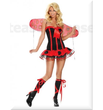 Lady Bug
