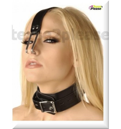 Collar with Nose Hook