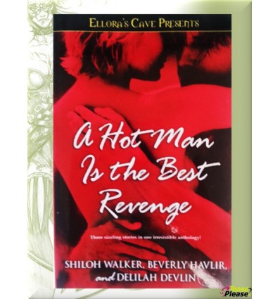 A Hot man Is the best Revenge