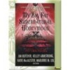 My Big fast Supernatural Honeymoon