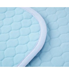 Passion & Pleasure Pad