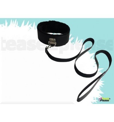 Fur Lined Collar with Leash