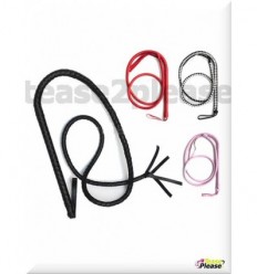 Bullwhip