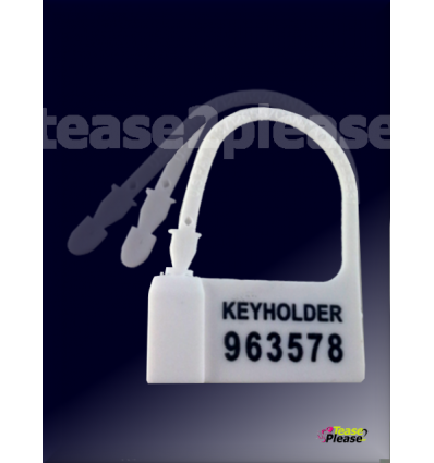 Numbered Plastic chastity Locks