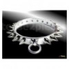 Spiked Collar