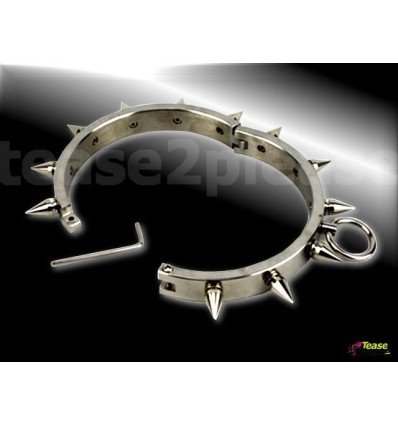 Spiked Collar