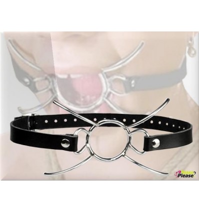 Spider Gag