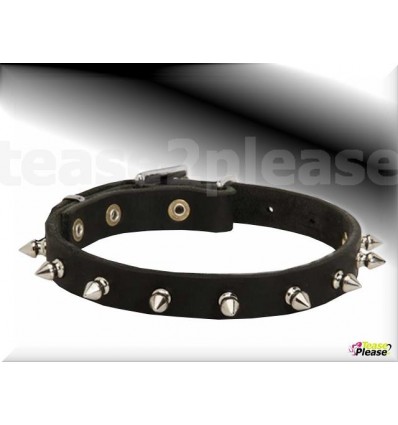 Spikes Collar