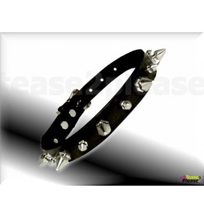 Spikes Collar