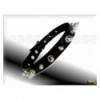 Spikes Collar