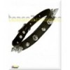 Spikes Collar