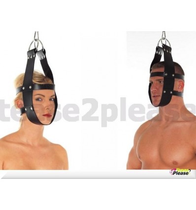 Head Immobilization Harness