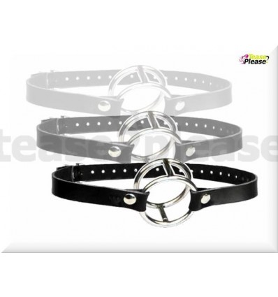 Double Metal Ring Gag
