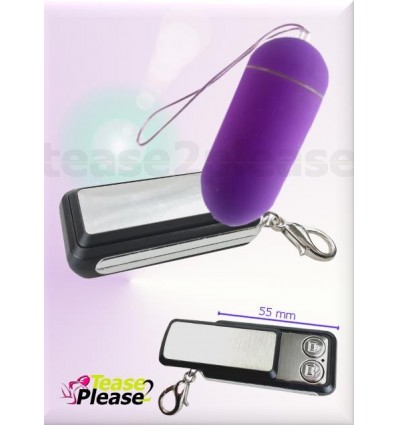 Remote Wireless Egg