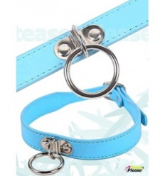 Blue neck collar