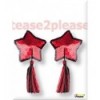 Five pointed Star Pasties