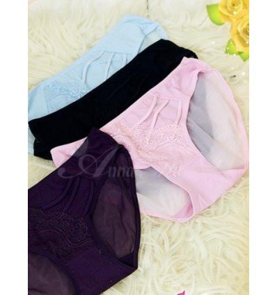 Romantic Lace Briefs (4 colours)