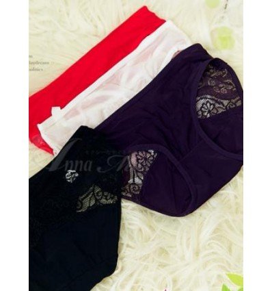 Irresistable Briefs (4 colours)